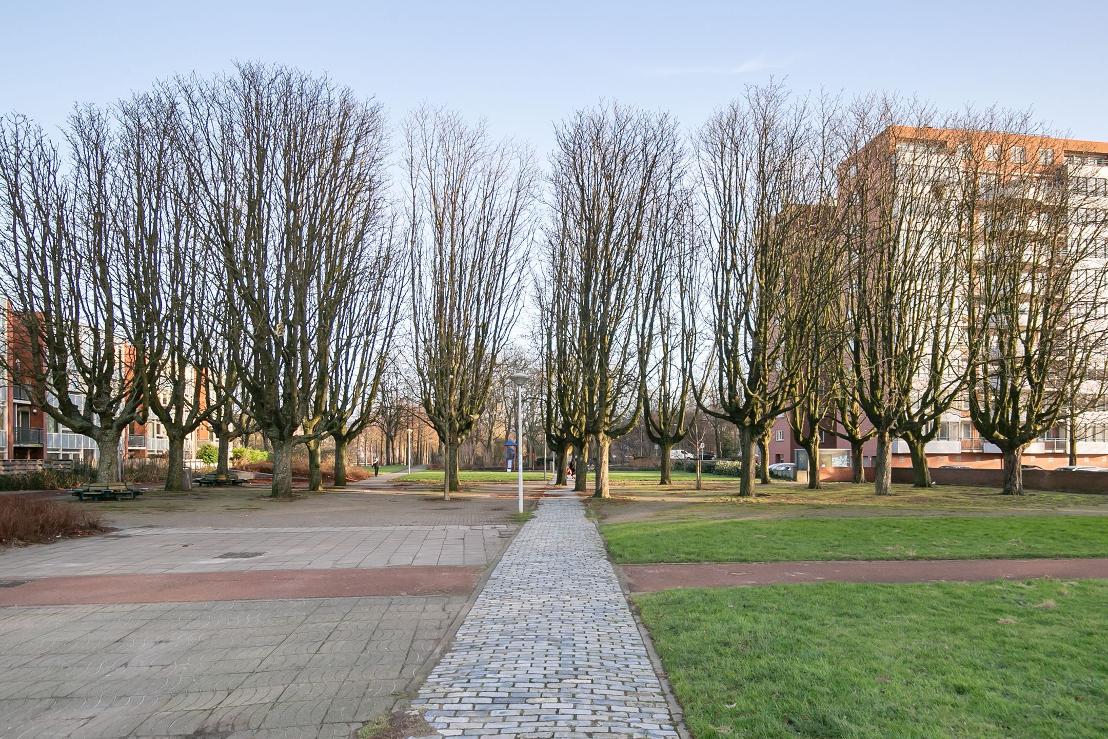 Foto 24 van Cornelis van Rijplantsoen 56