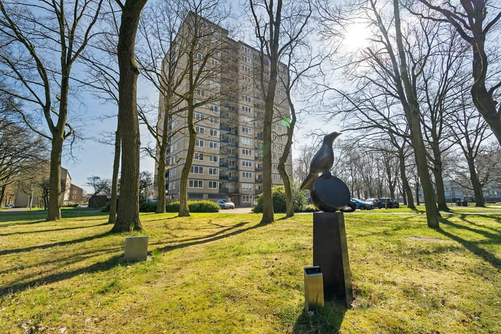 Foto 39 van Vanekerstraat 163