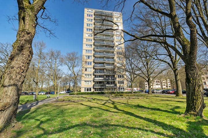 Foto 41 van Vanekerstraat 163