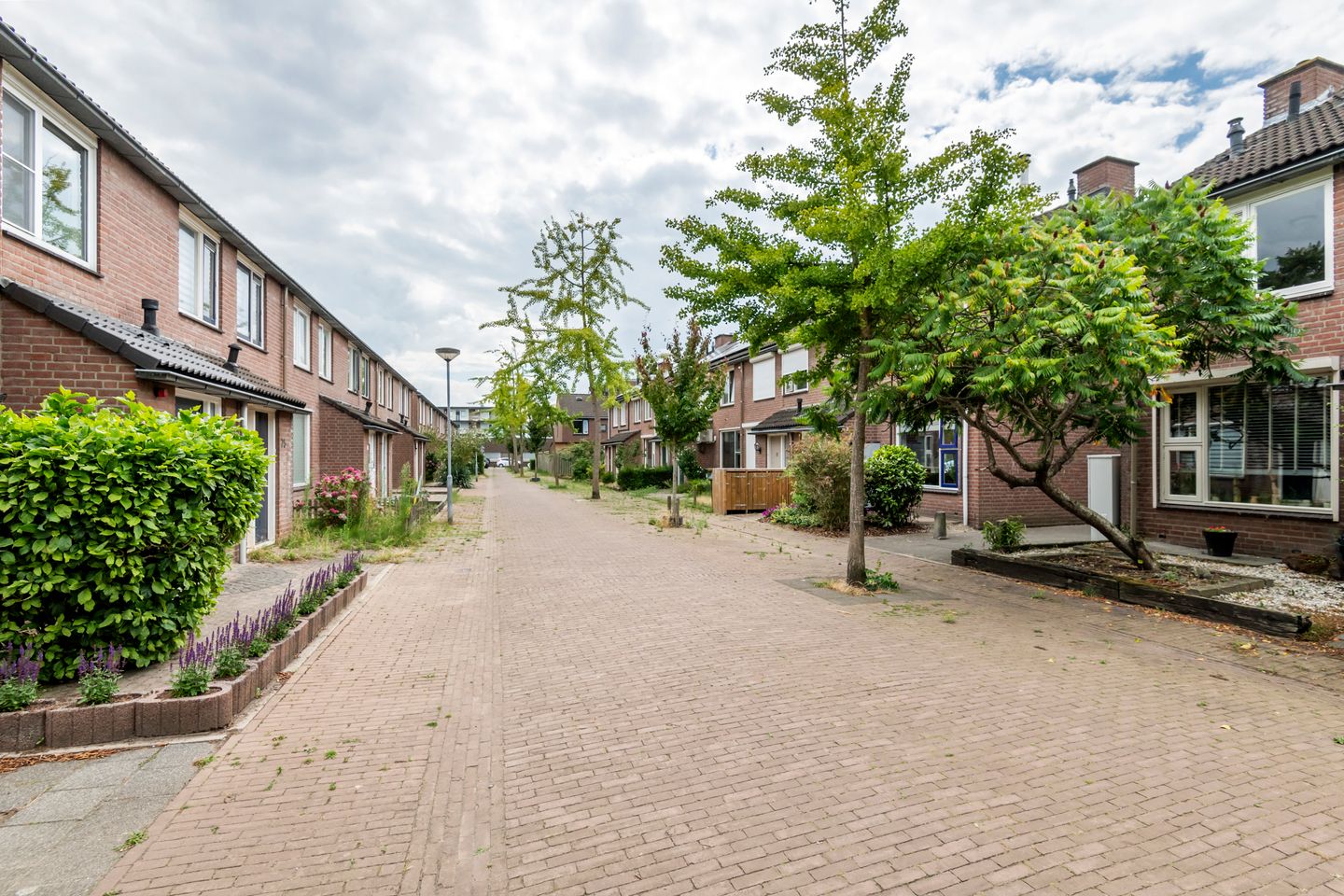 Foto 49 van Lokeren 62