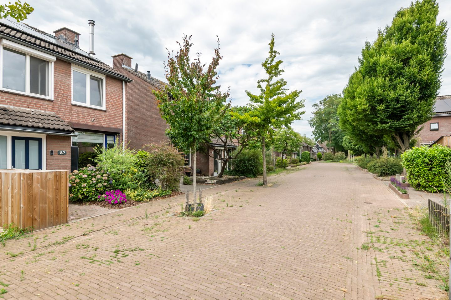 Foto 50 van Lokeren 62