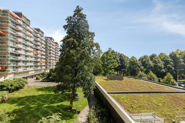 Foto 31 van Forellendaal 924