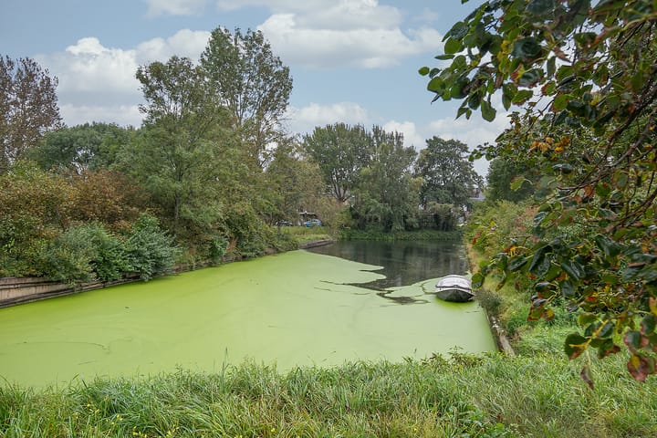 Foto 36 van Forellendaal 924