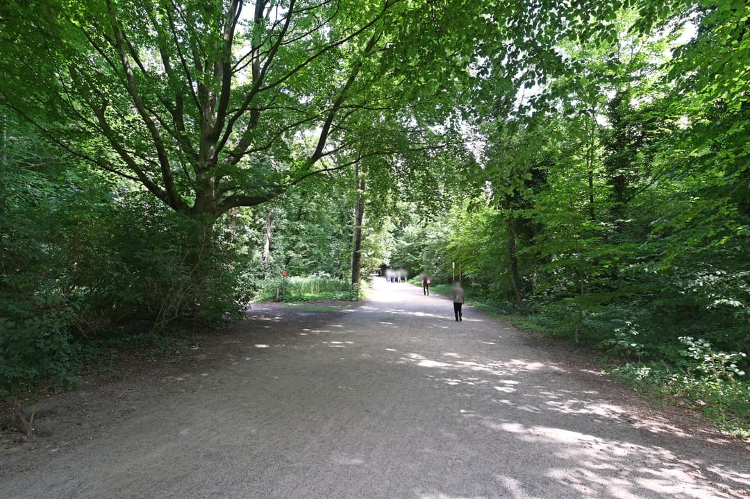 Photo 41 of Boslaan 389