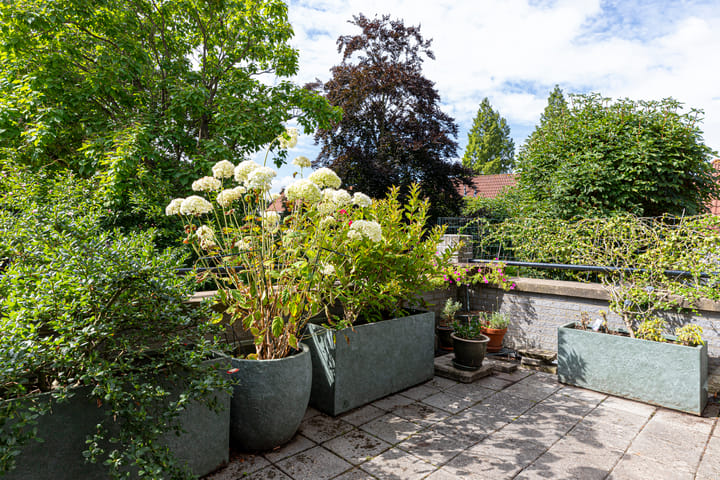 Foto 14 van Slapperdel 12