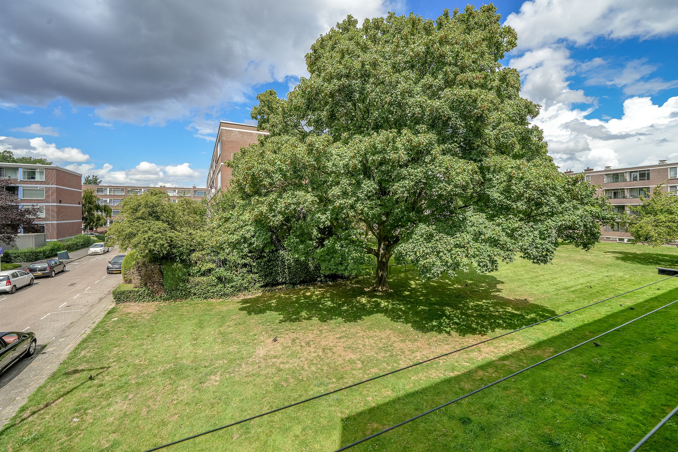 Foto 27 van Wilbertoord 100