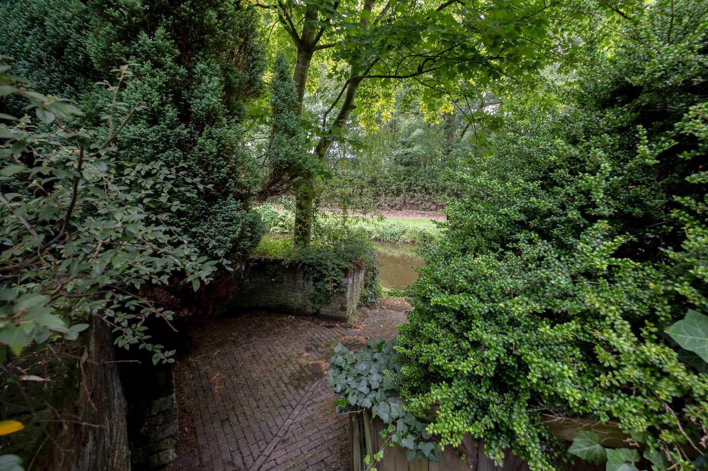 Foto 50 van Veldakker 2