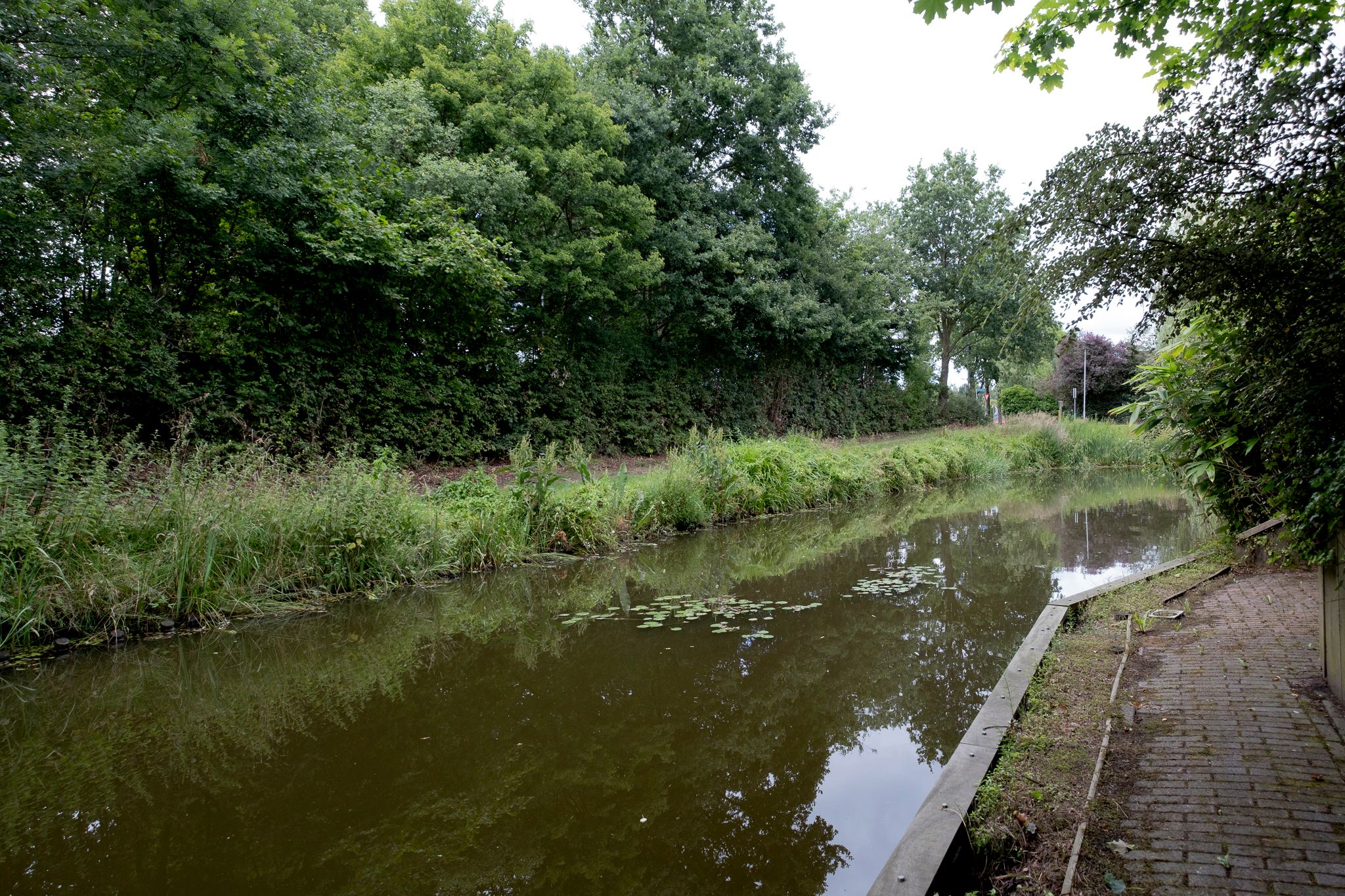 Foto 51 van Veldakker 2