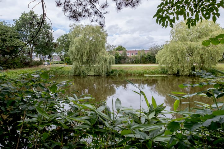 Photo 53 of Veldakker 2