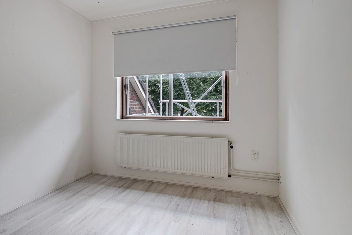 Foto 25 van Molenaar 1