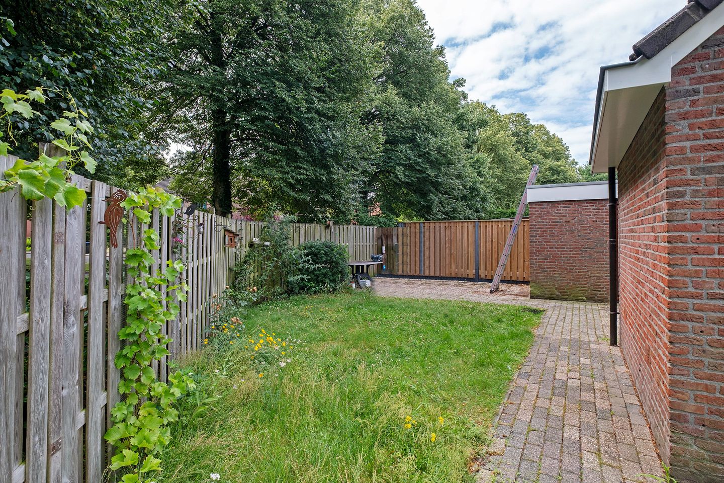 Foto 35 van Molenaar 1