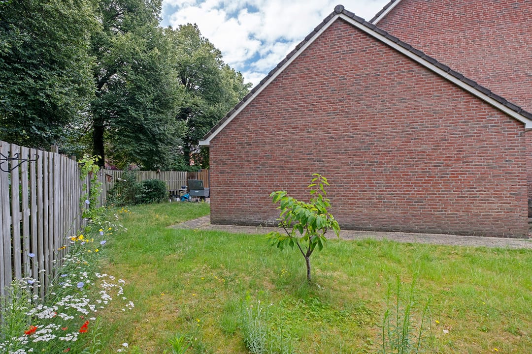 Foto 38 van Molenaar 1