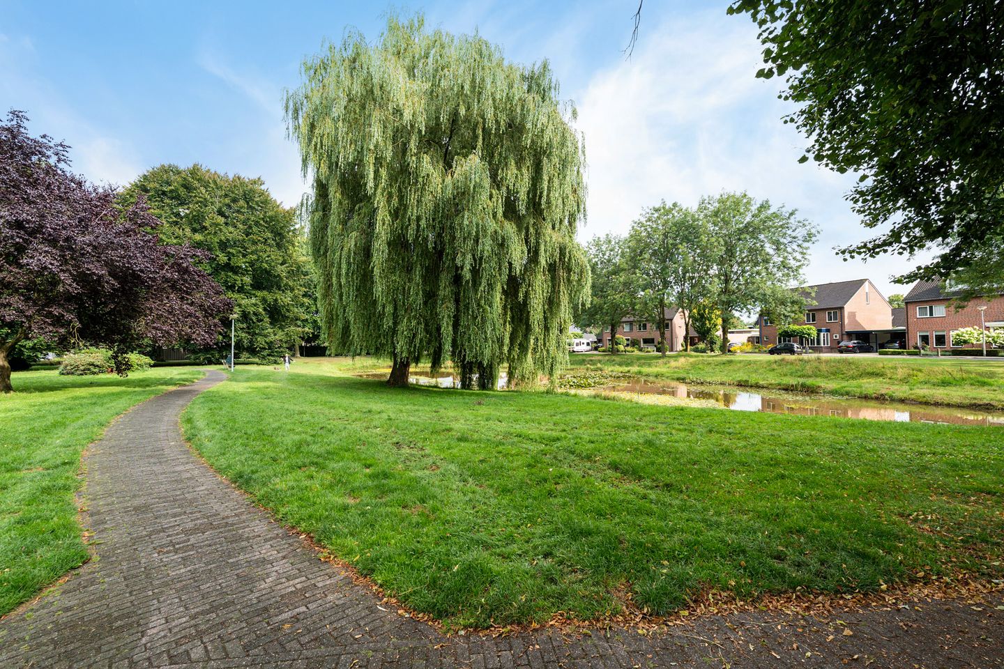 Foto 44 van Molenaar 1