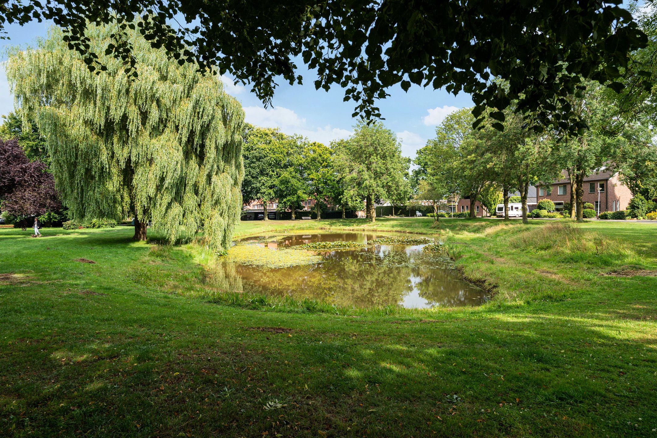 Foto 45 van Molenaar 1