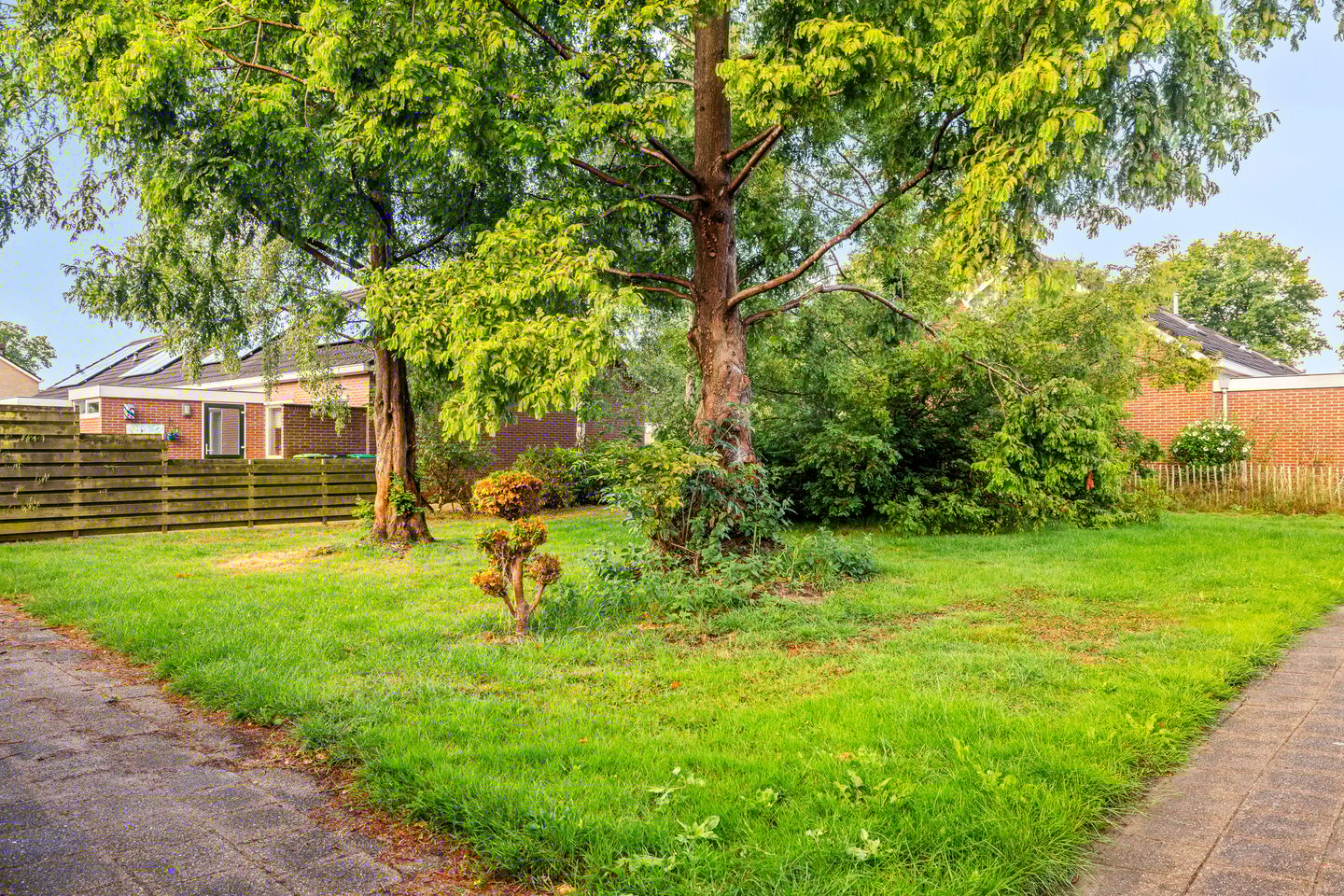 Foto 20 van Schonegevelstraat 5