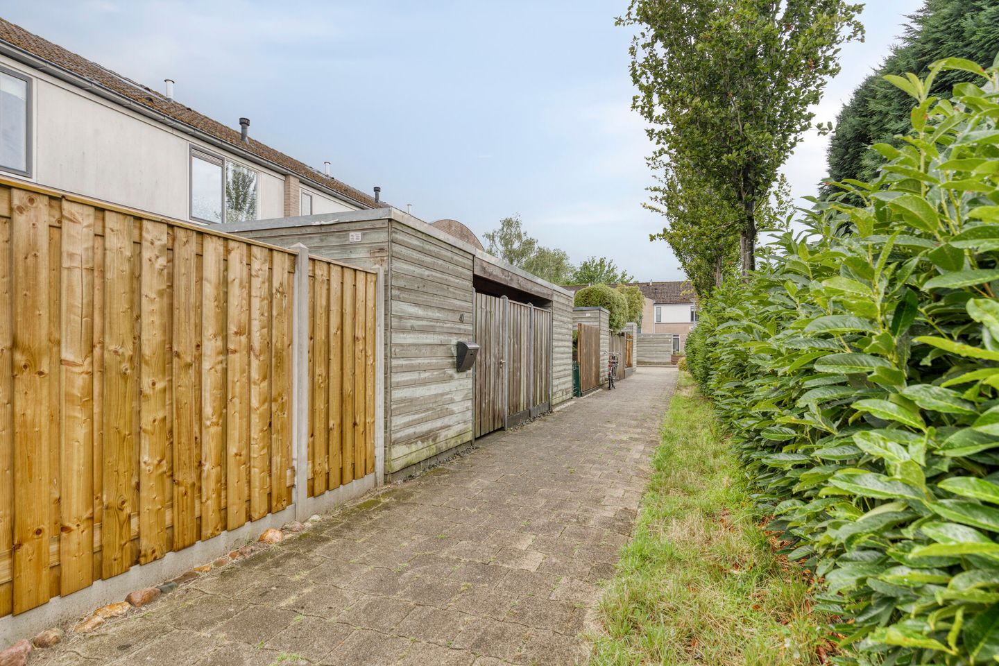 Foto 29 van Saturnus 40