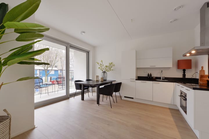 Photo 6 of Stadhoudersplantsoen 220-E