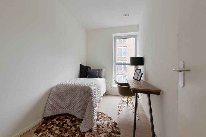 Photo 12 of Stadhoudersplantsoen 220-E