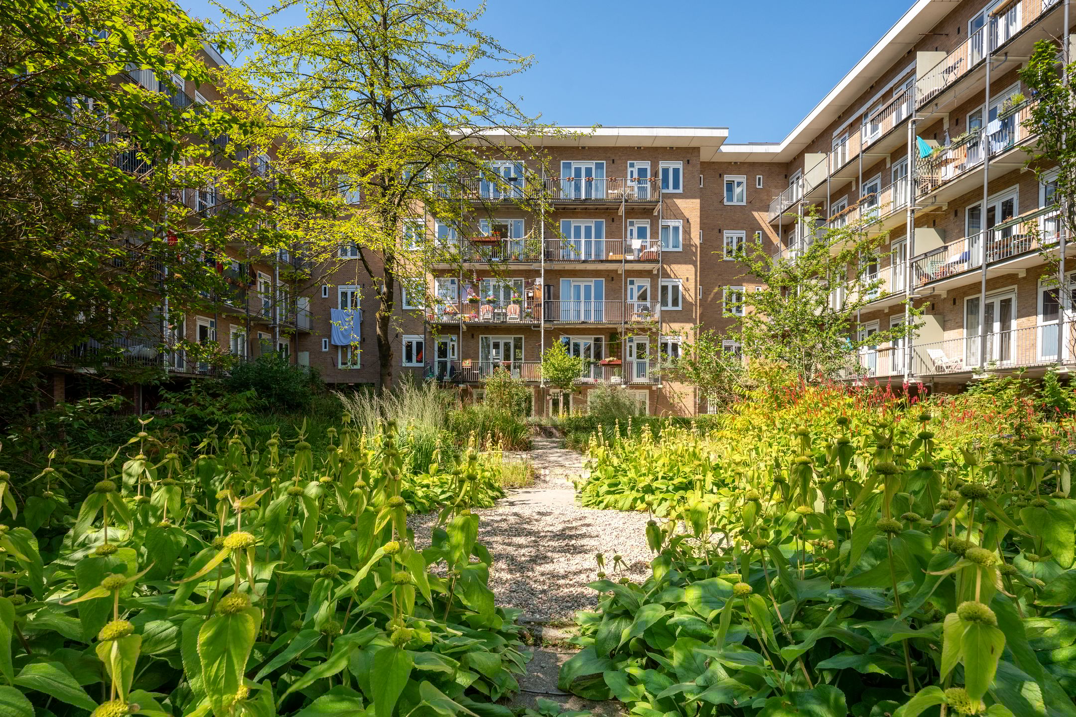 Photo 33 of Willem de Zwijgerlaan 146-2