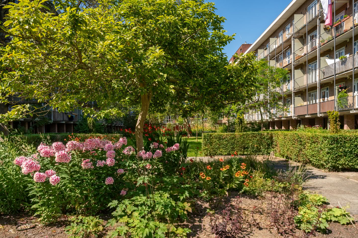 Photo 34 of Willem de Zwijgerlaan 146-2