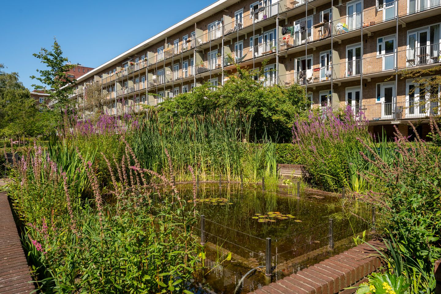 Photo 35 of Willem de Zwijgerlaan 146-2