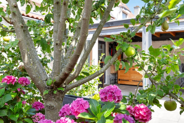 Foto 37 van Klaas Visscherstraat 1