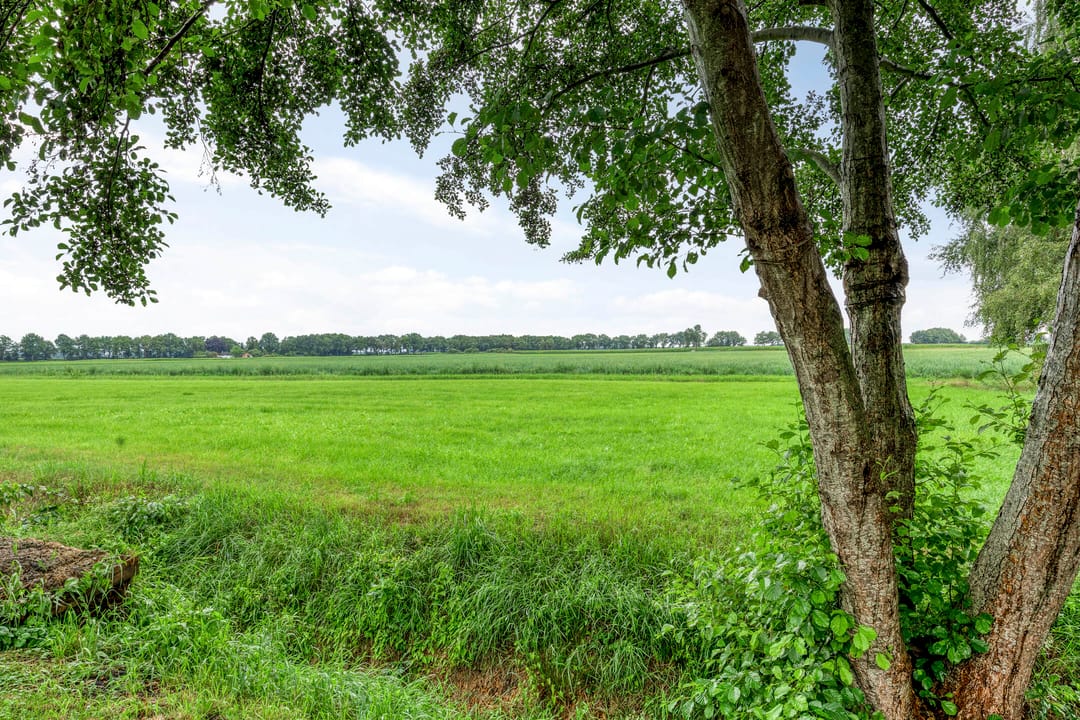 Photo 37 of Dorpsstraat 59