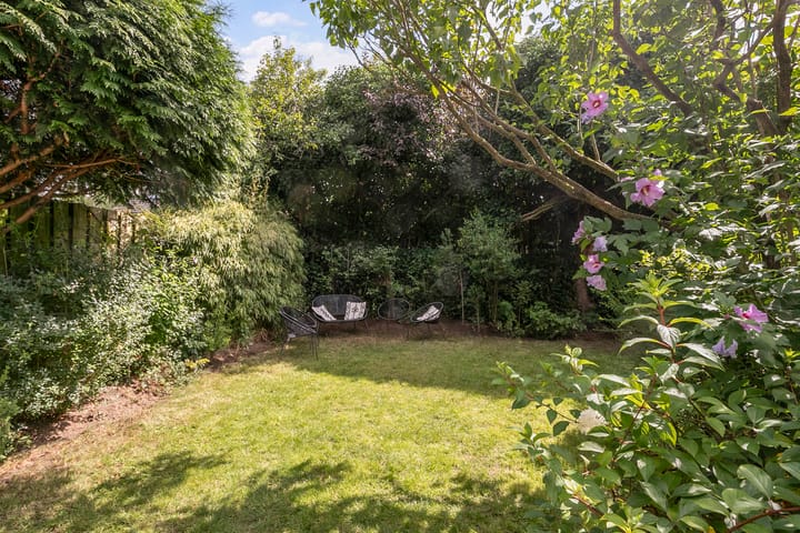 Foto 11 van de Beuk 26