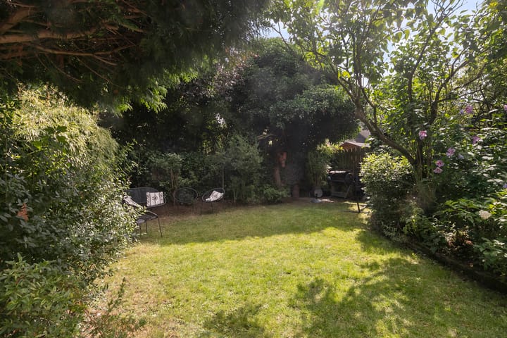 Foto 12 van de Beuk 26