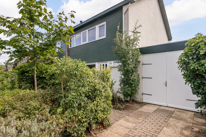 Foto 26 van de Beuk 26