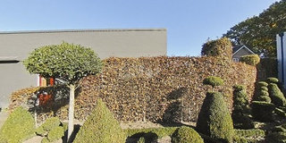 View 360° photos