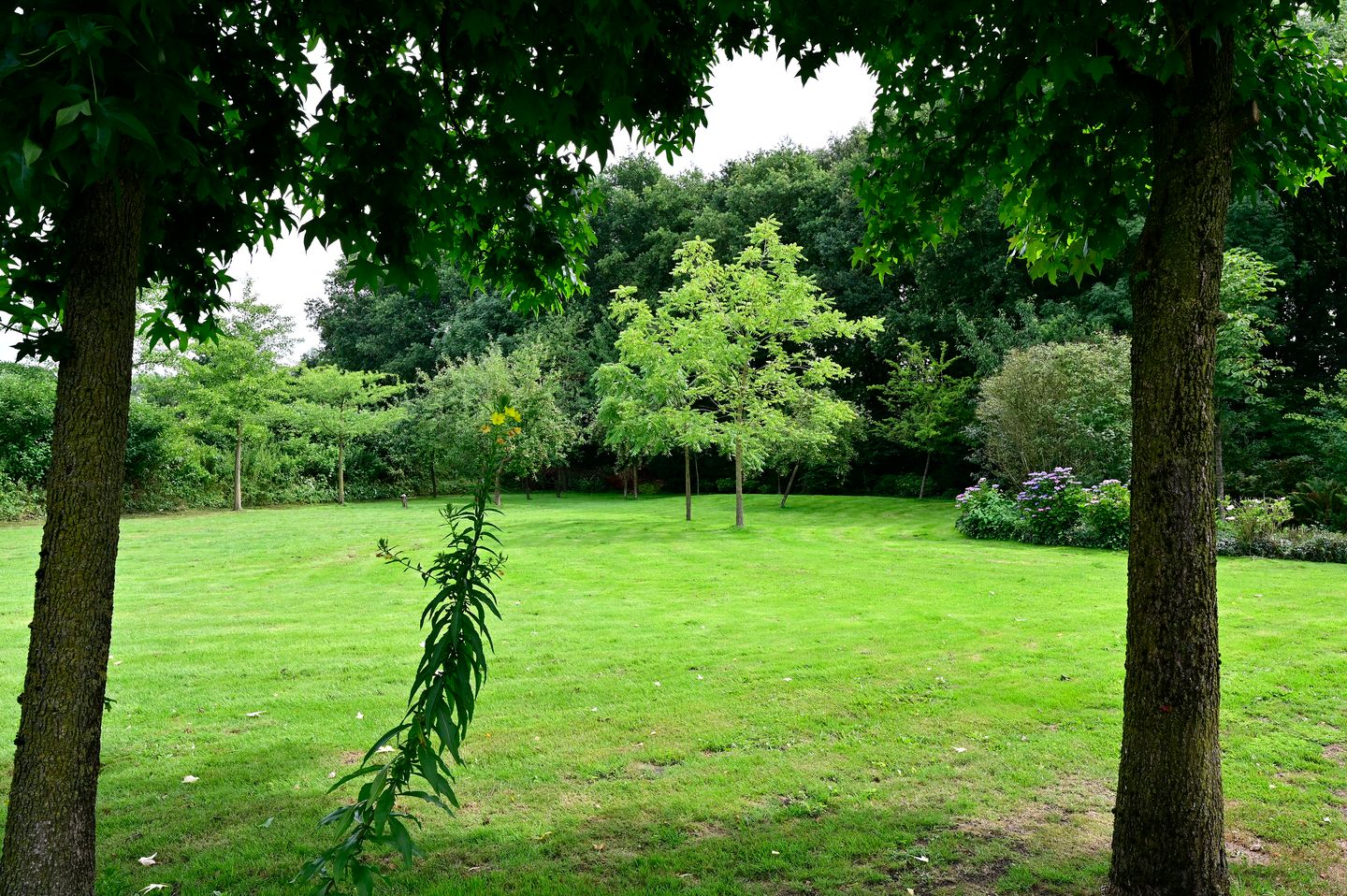 Foto 40 van Zeumerseweg 67