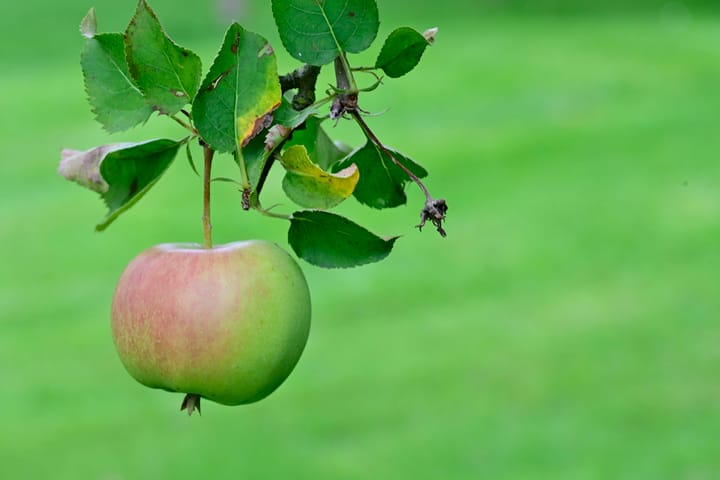 Foto 45 van Zeumerseweg 67