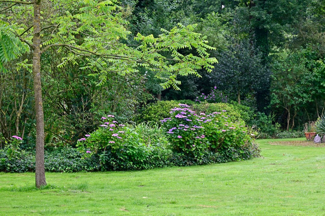 Foto 46 van Zeumerseweg 67