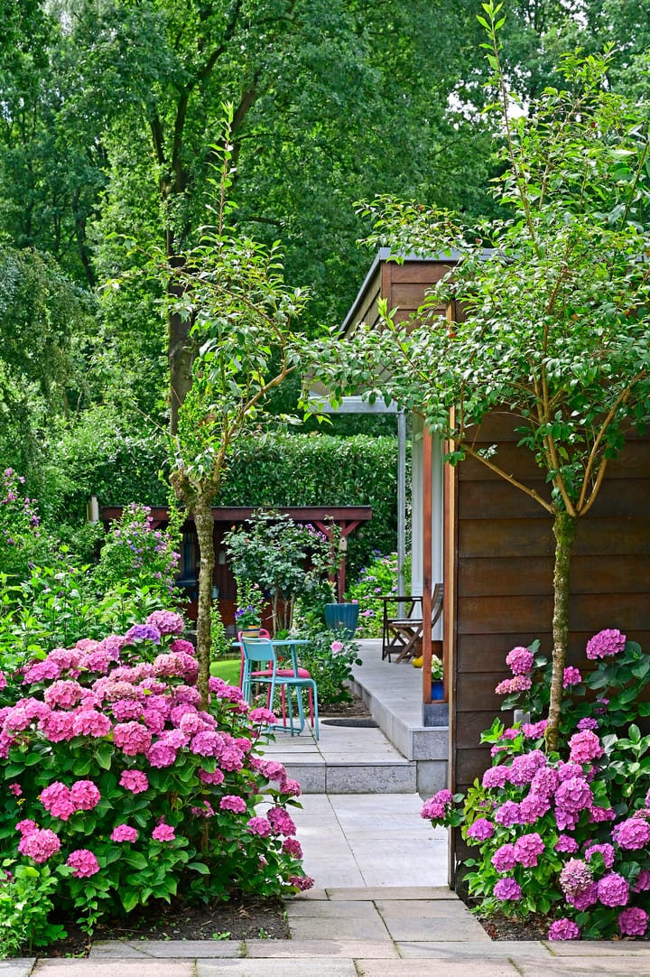 Foto 49 van Zeumerseweg 67