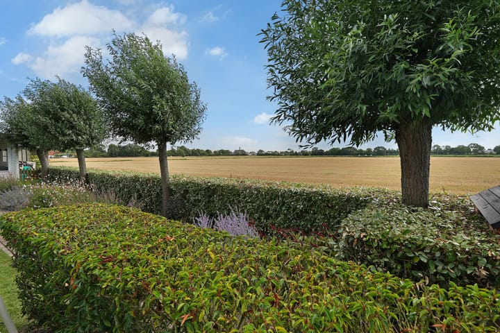 Foto 45 van Agathastraat 59