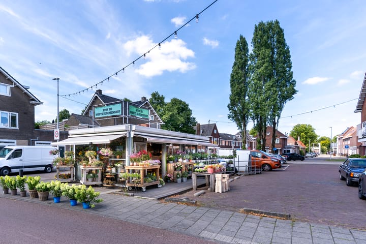 Foto 42 van Constant Erzeijstraat 39