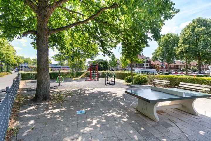 Foto 44 van Constant Erzeijstraat 39