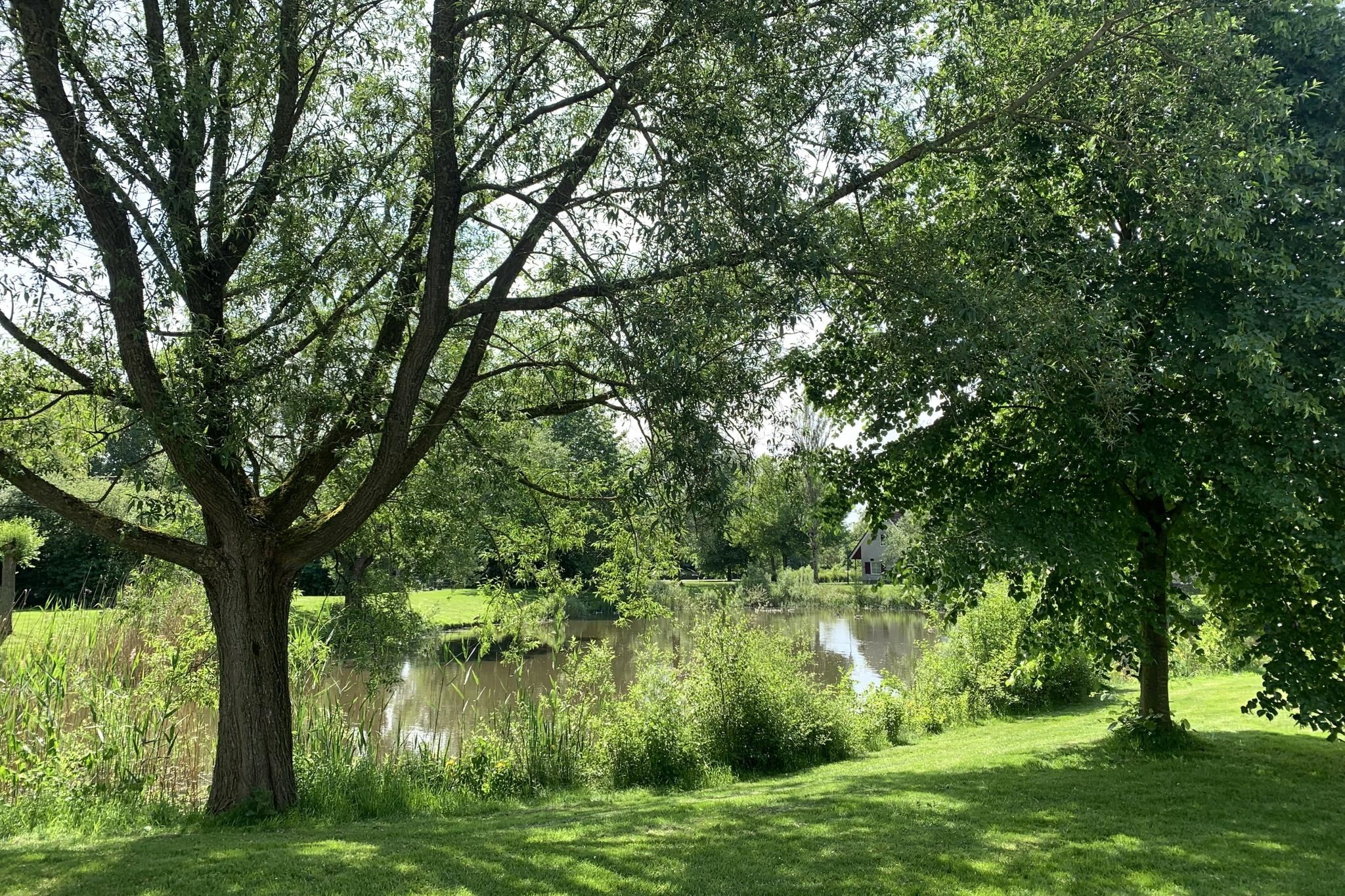 Foto 6 van Sandurdreef 5-307