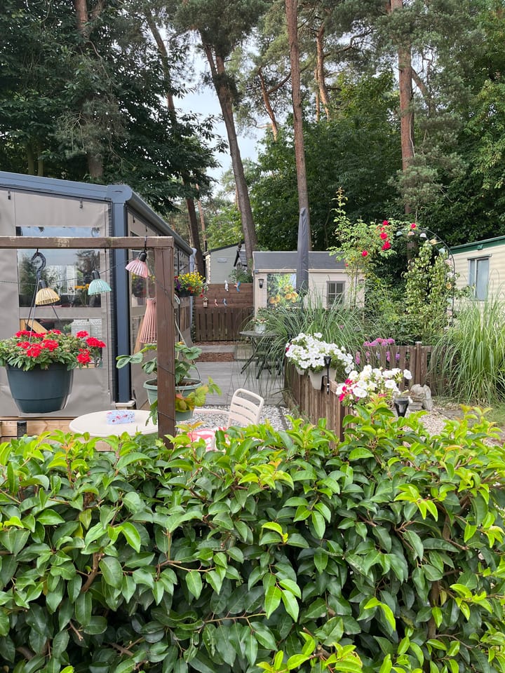 Foto 4 van Heimolen 6