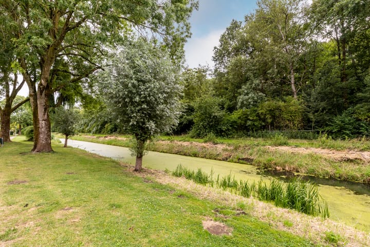 Foto 5 van Schelfstraat 9