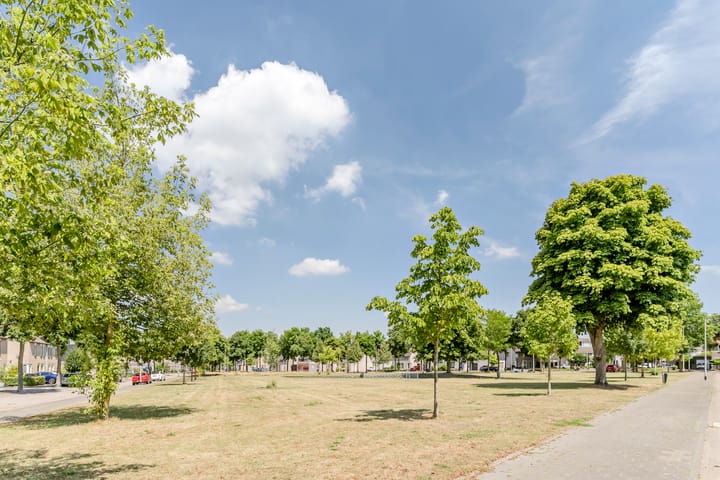 Foto 34 van Hattemplein 7