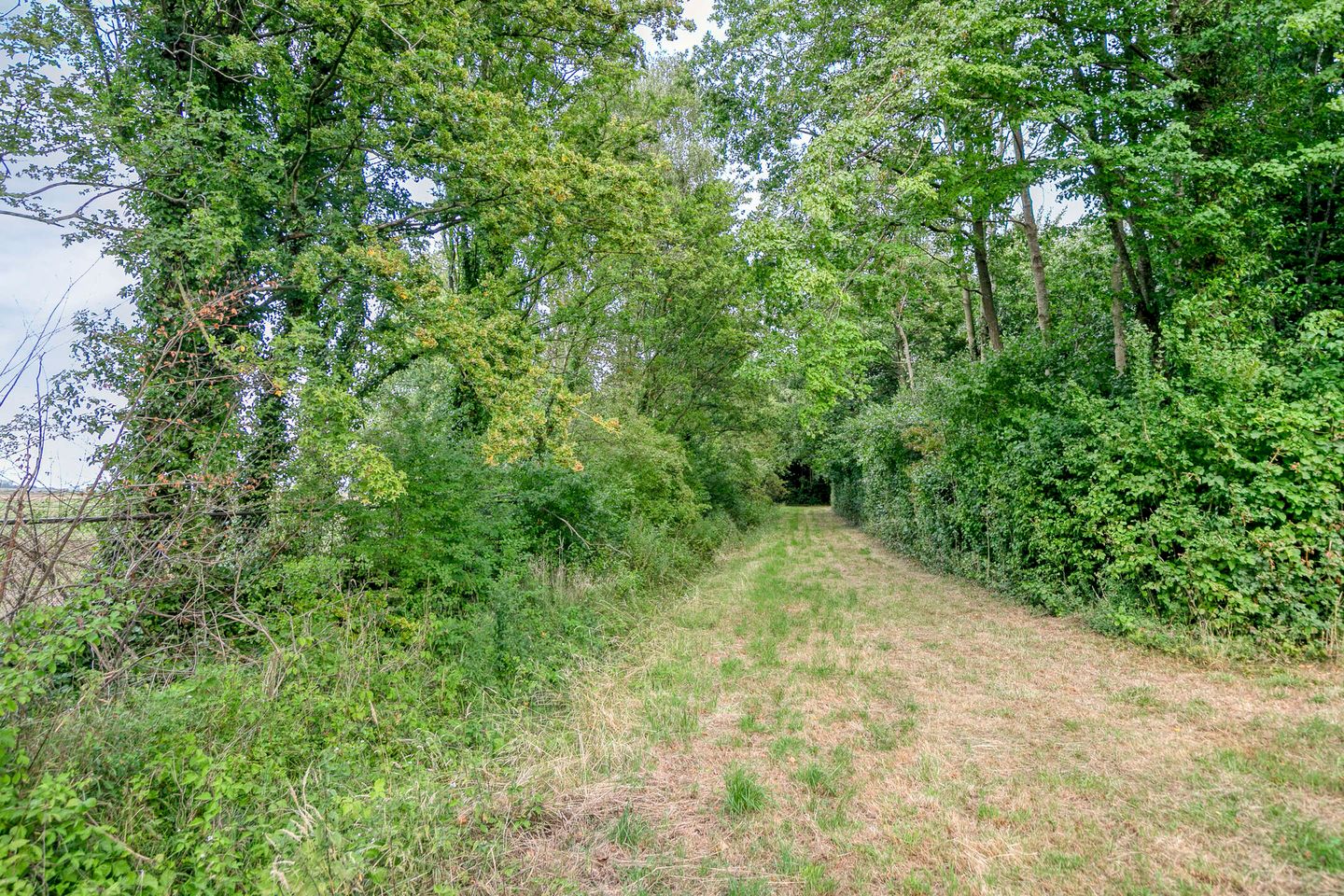 Foto 44 van Burgemeester Timansweg 55