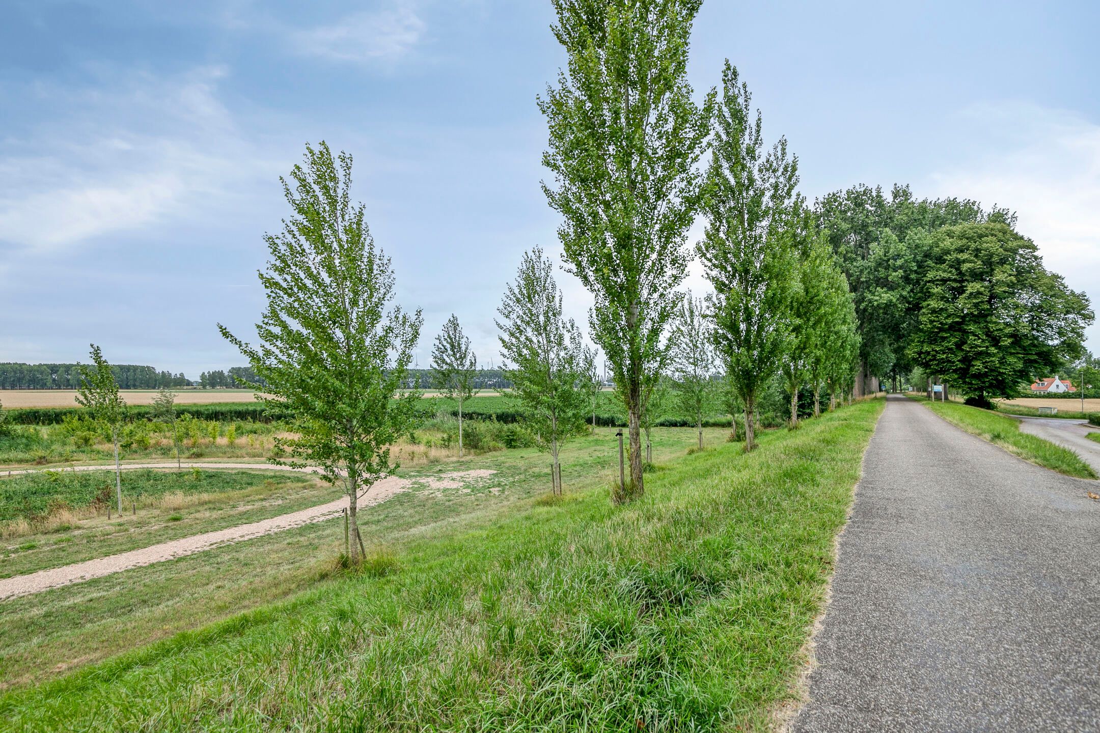 Foto 51 van Burgemeester Timansweg 55