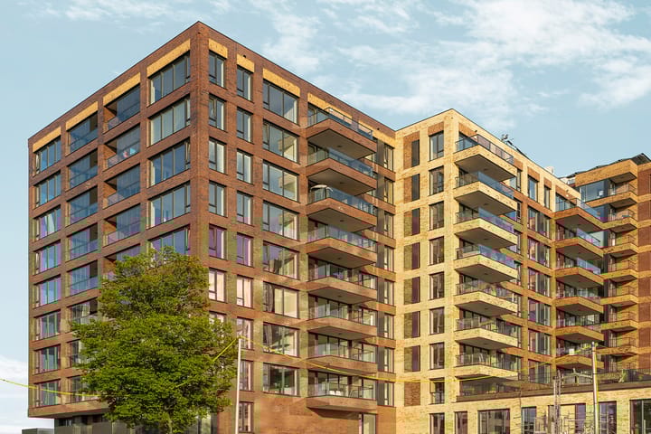 Foto 2 van Mahoniehout 419