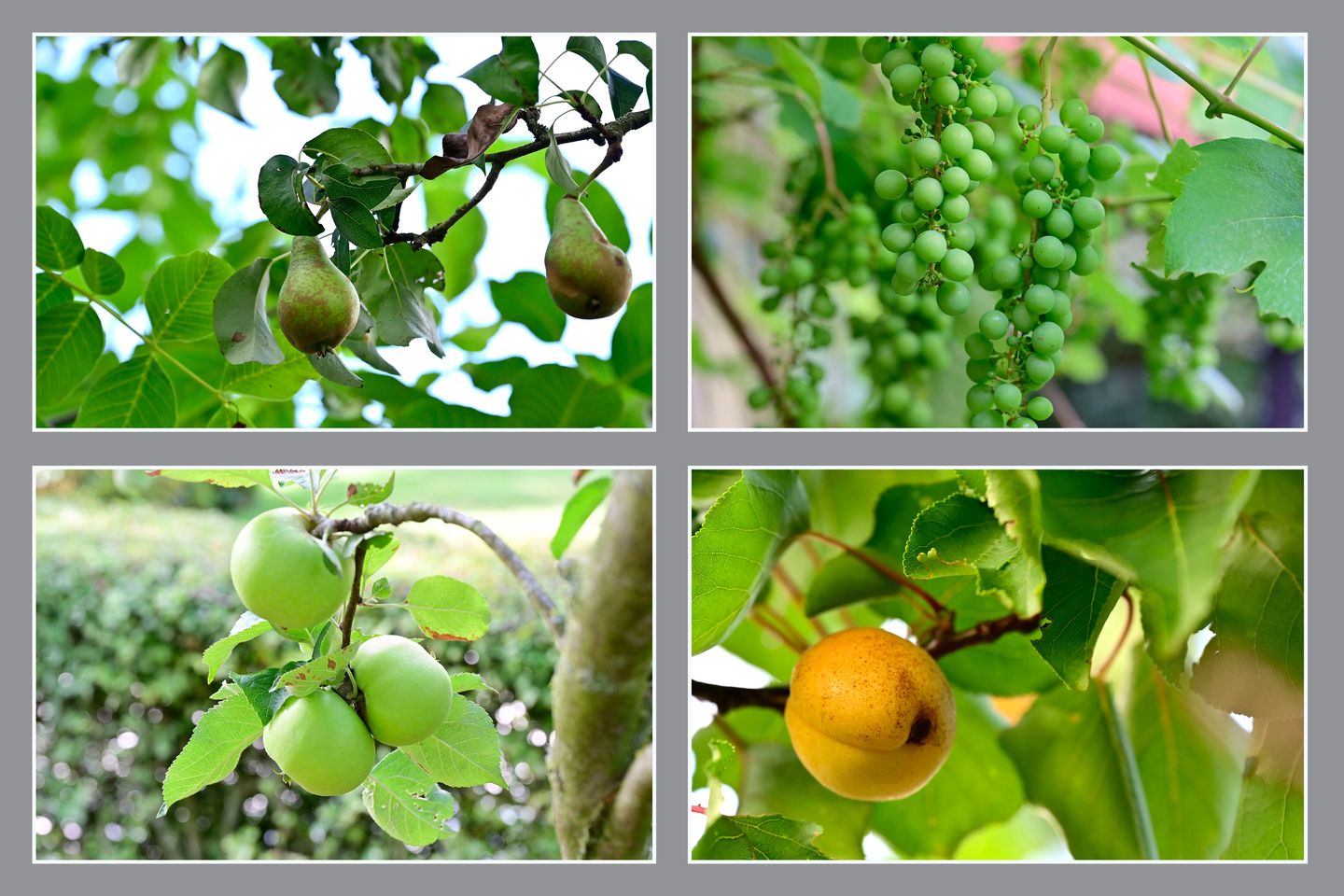 Foto 25 van Slichtenhorsterweg 48