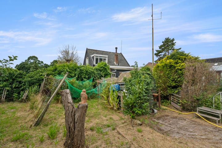 Foto 28 van Omloop 41