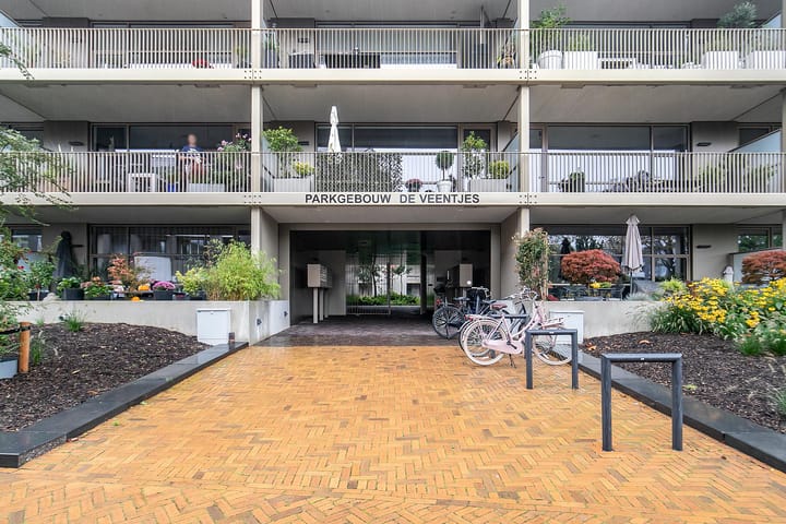 Foto 4 van de Veentjes 141