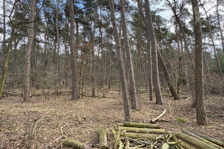 Foto 6 van Tunnelweg 7-106