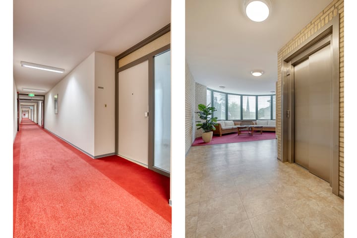 Photo 6 of Anna Paulownaplein 23